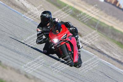 media/Feb-10-2024-TrackDaz (Sat) [[d83b097a69]]/B Group/120pm (Outside Grapevine)/